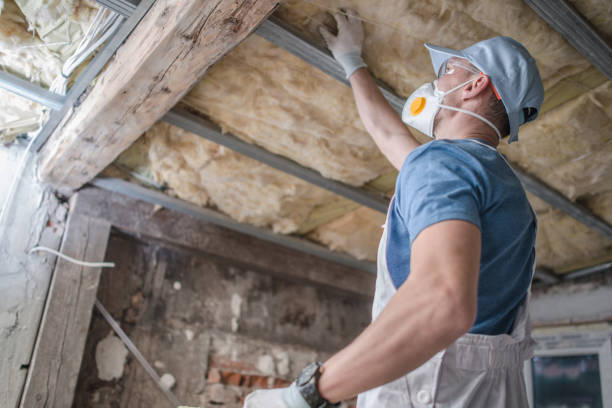 Best Cellulose Insulation in Rocky Point, NC