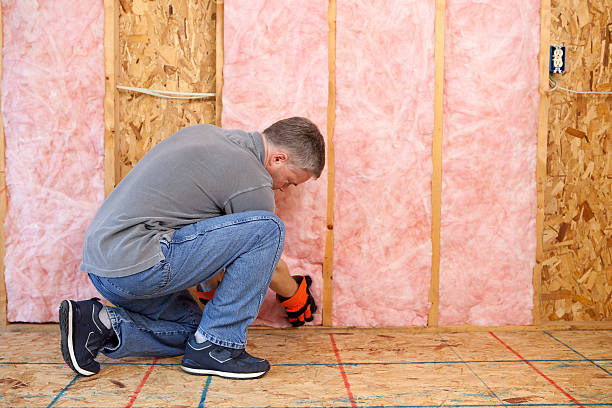 Types of Insulation We Offer in Rocky Point, NC